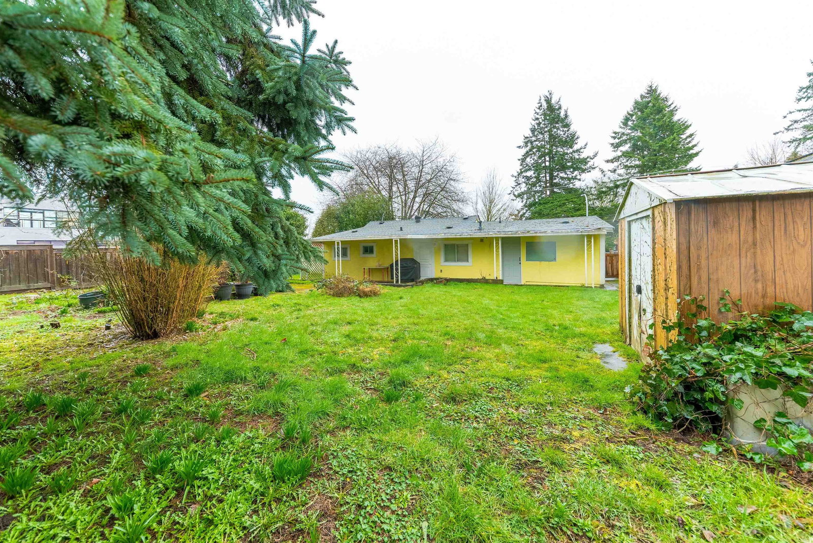 Listing Image 6