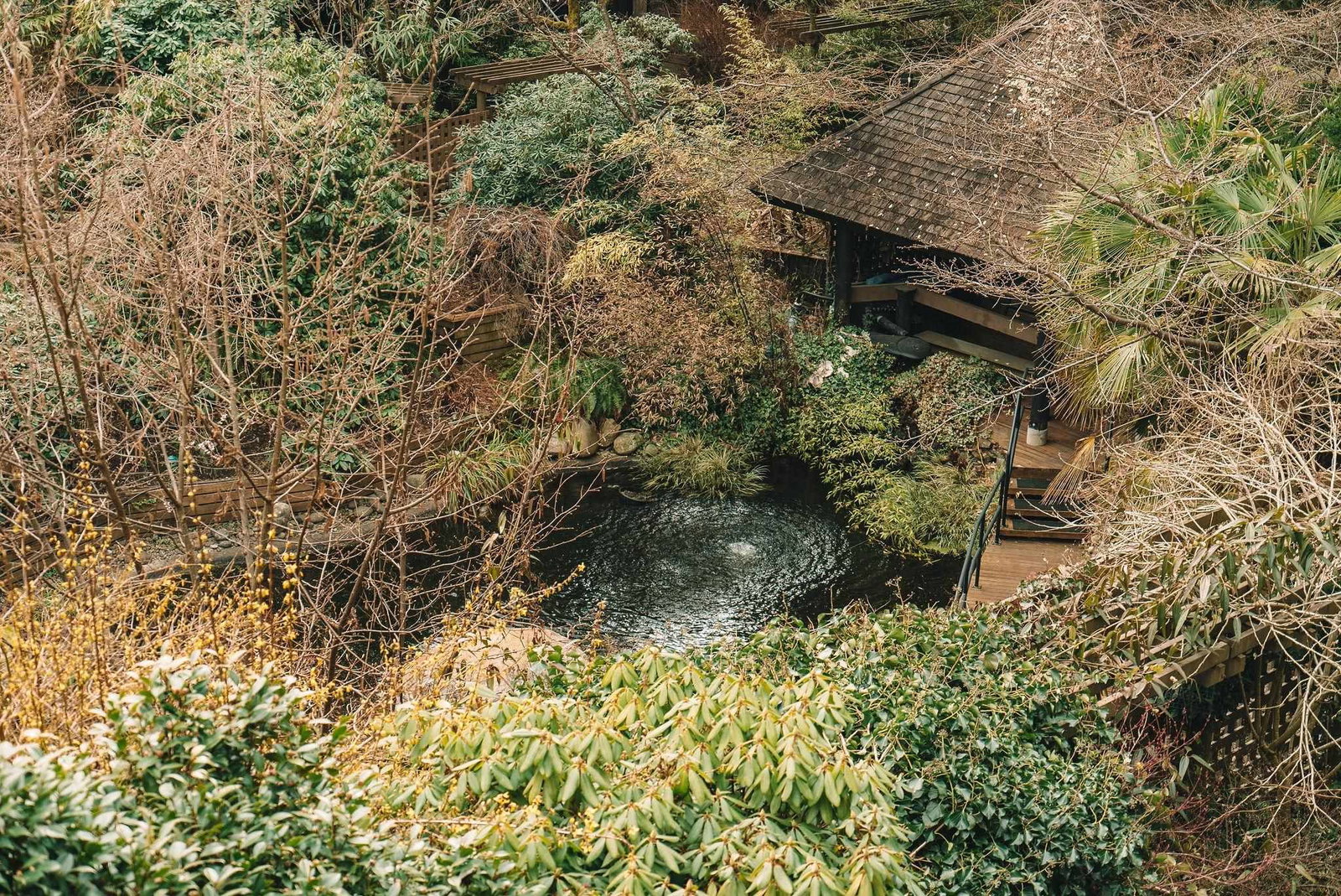 Listing Image 32