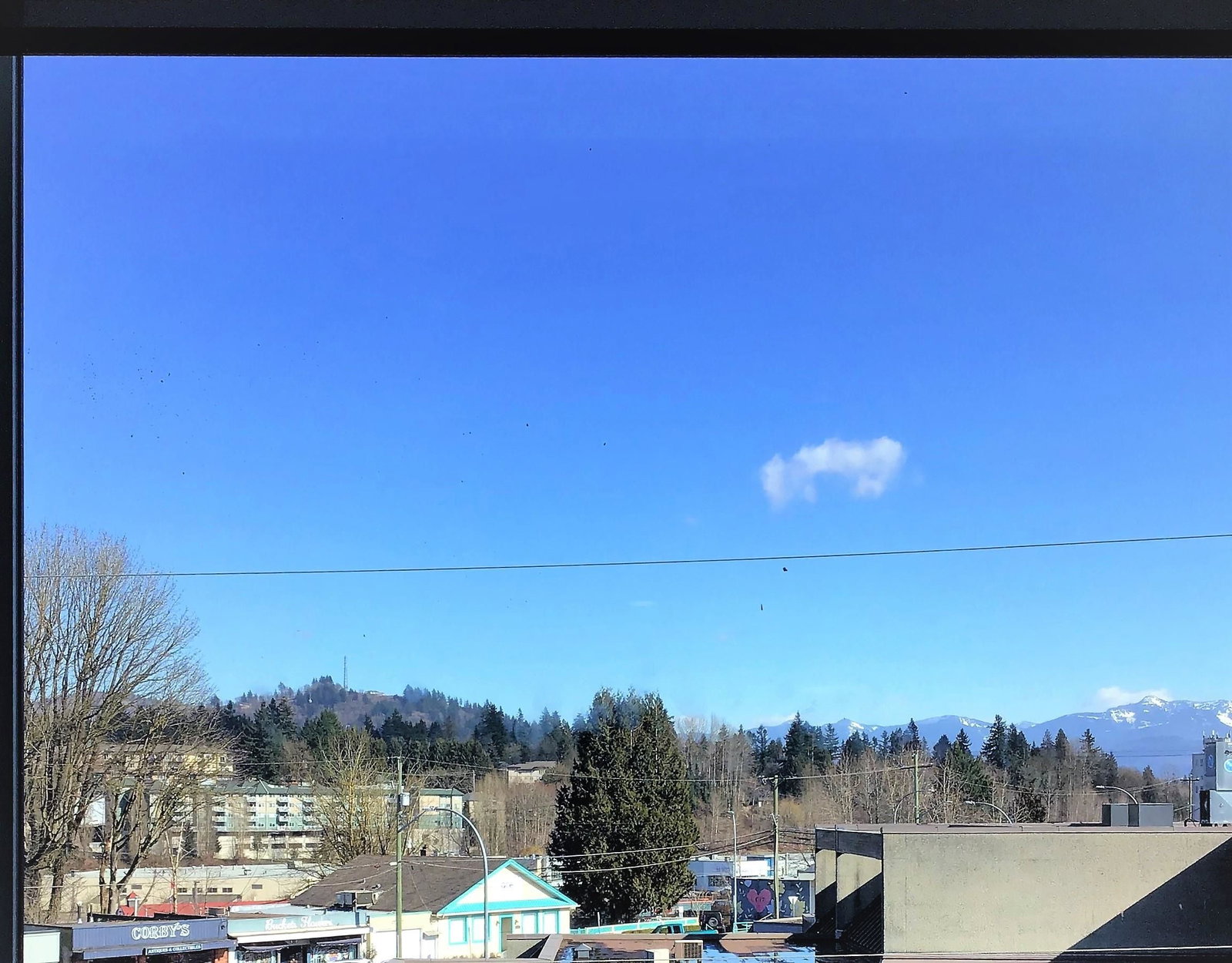 Listing Image 32