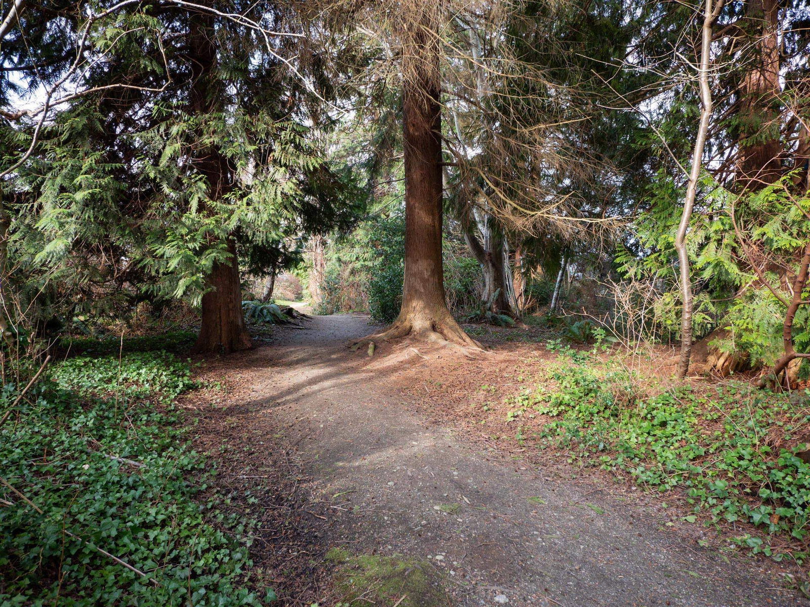 Listing Image 29