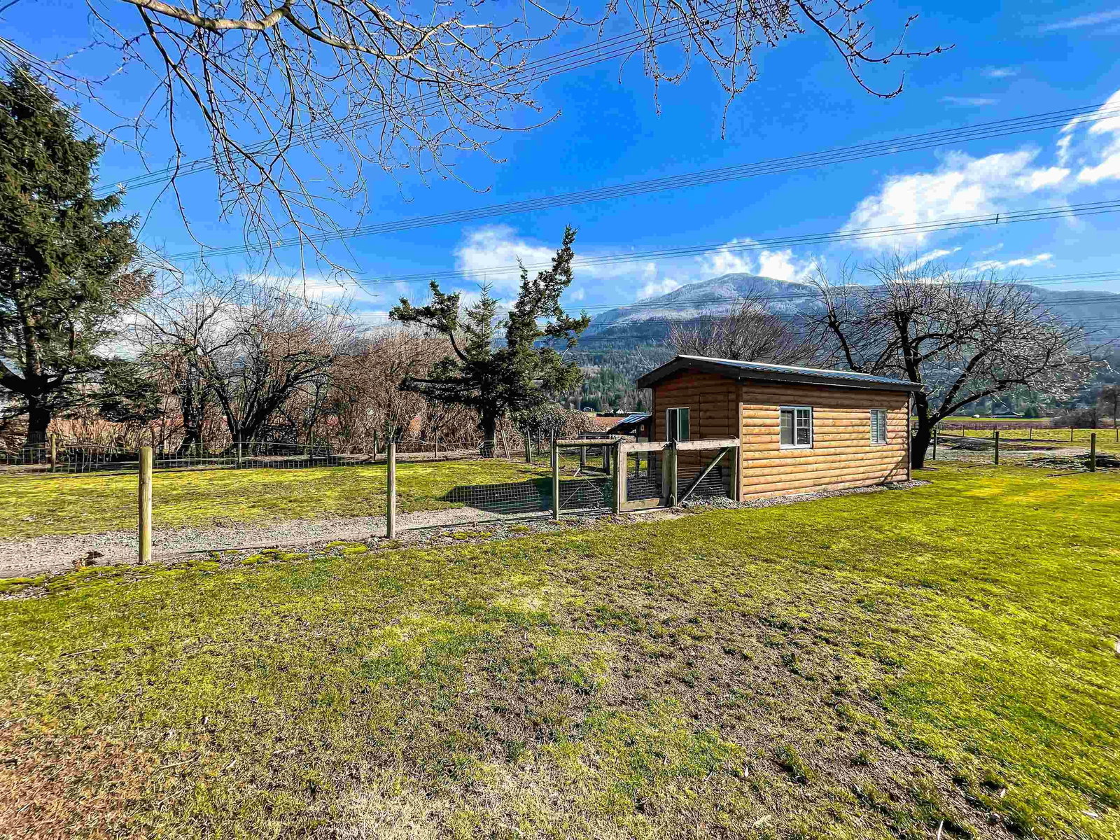 Listing Image 4