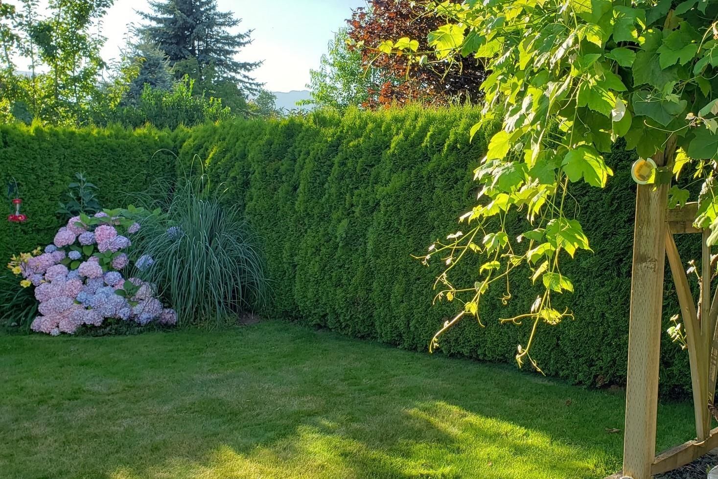 Listing Image 37