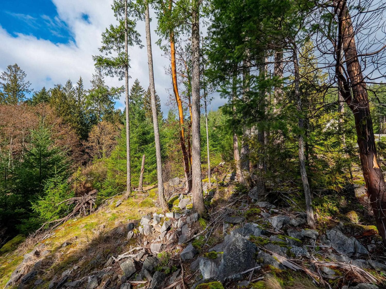 Listing Image 10