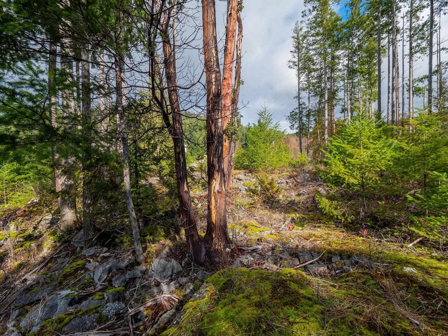Listing Image 13