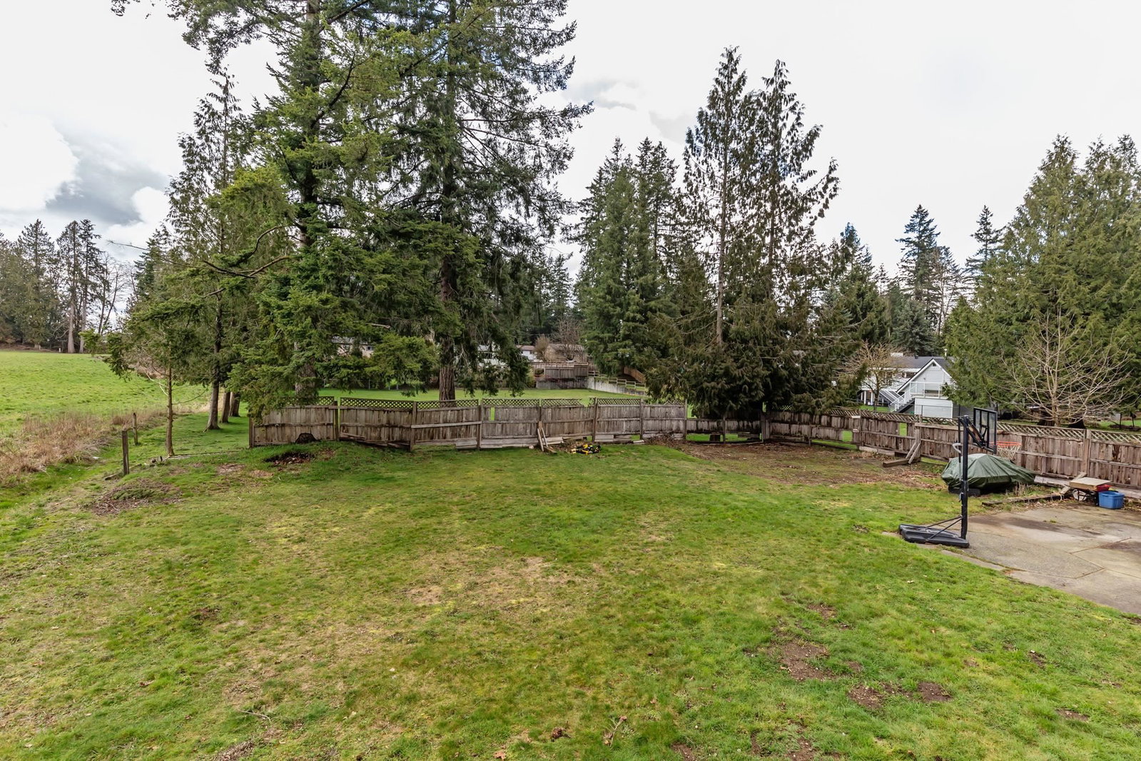 Listing Image 18