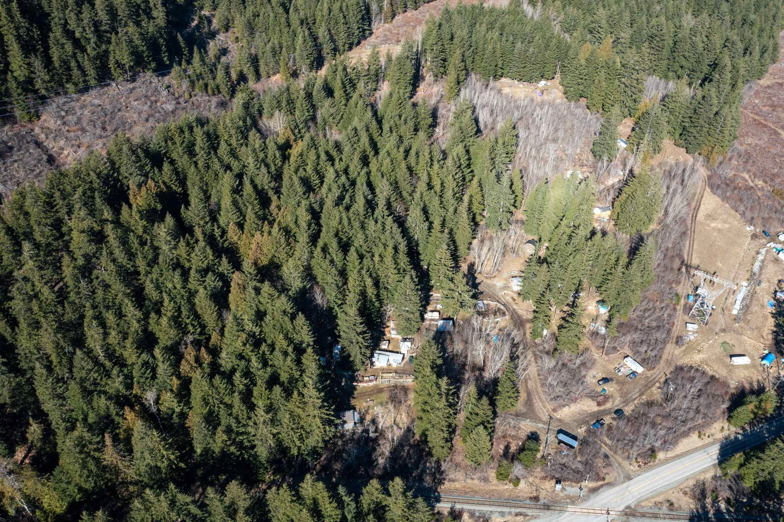 Listing Image 12