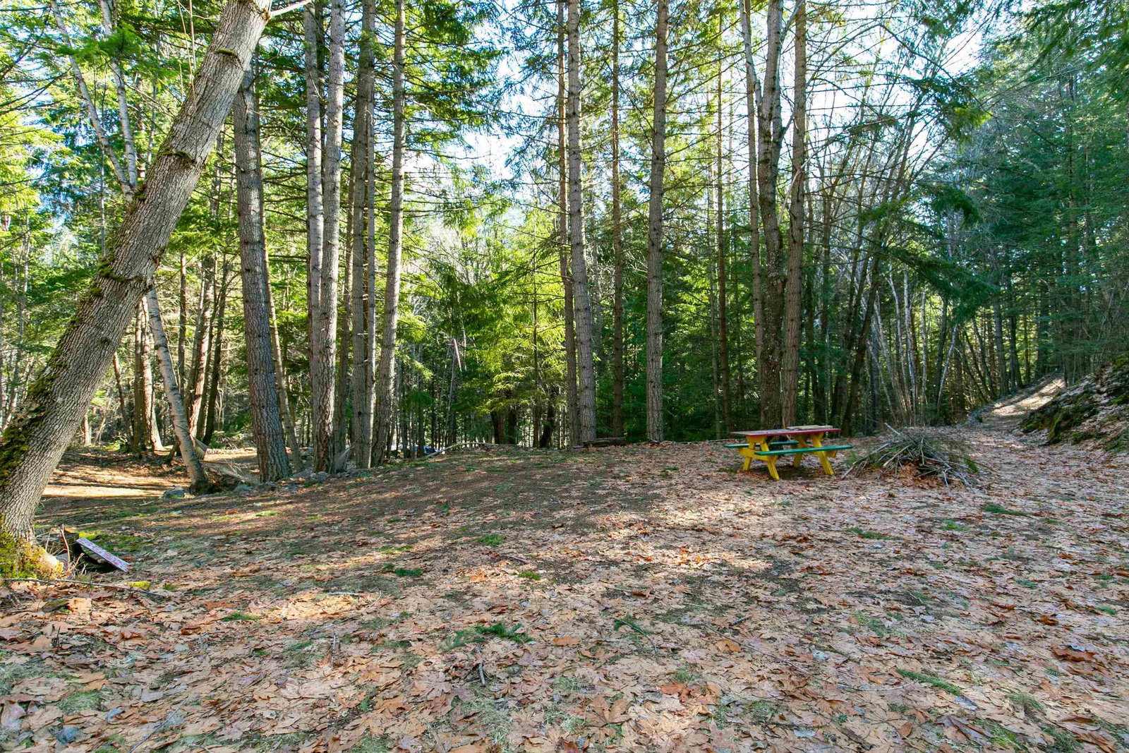 Listing Image 29