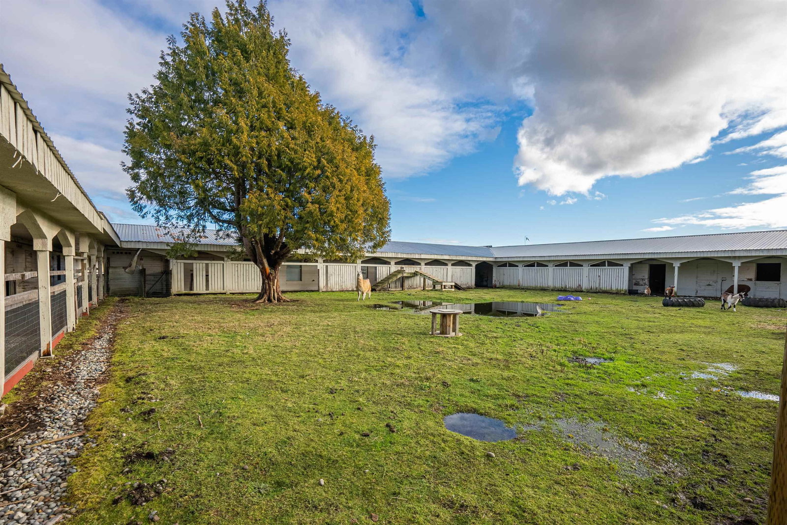 Listing Image 20