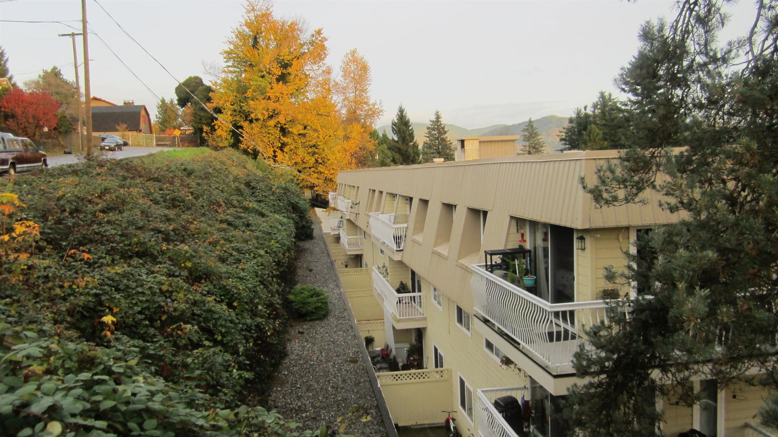 Listing Image 33
