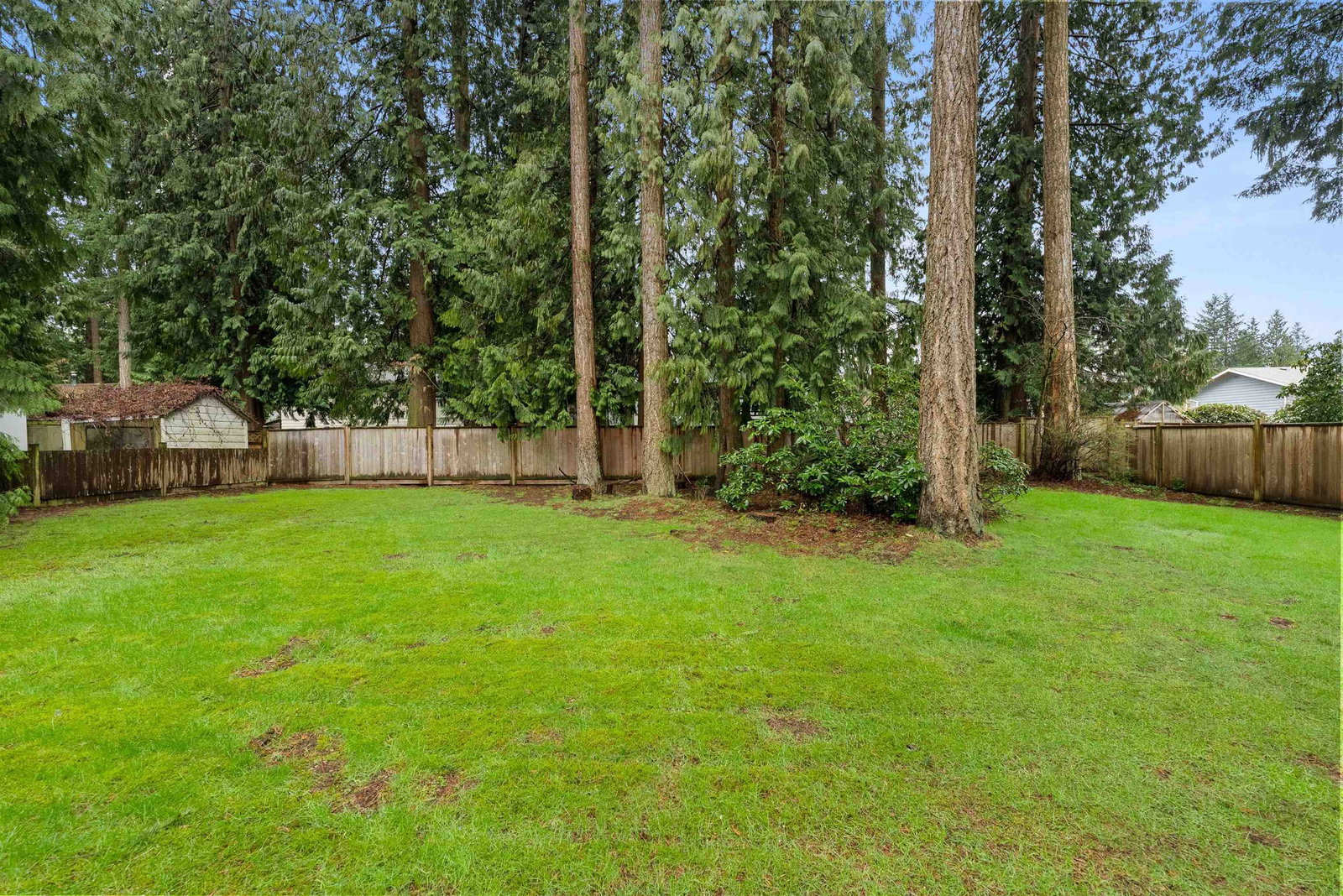 Listing Image 37