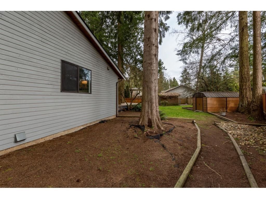 Listing Image 37