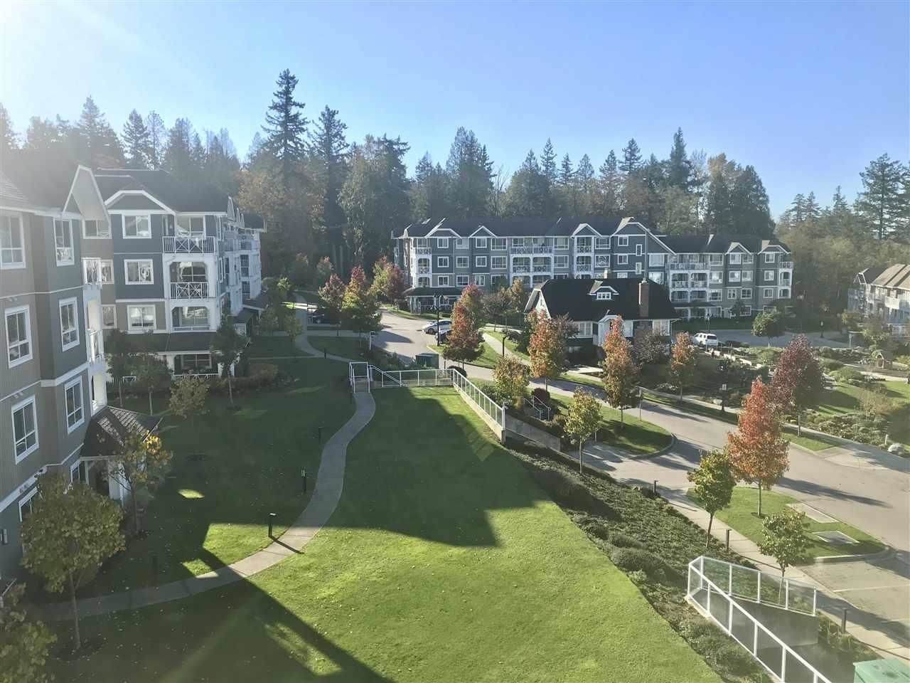 Listing Image 18