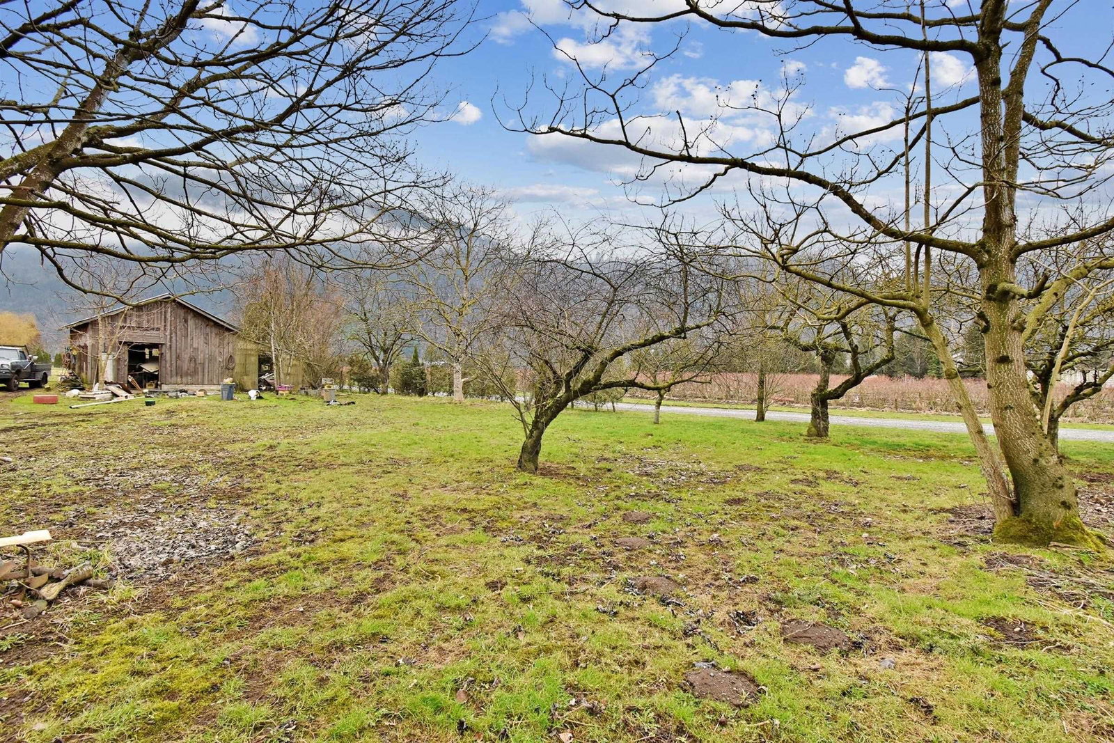 Listing Image 18