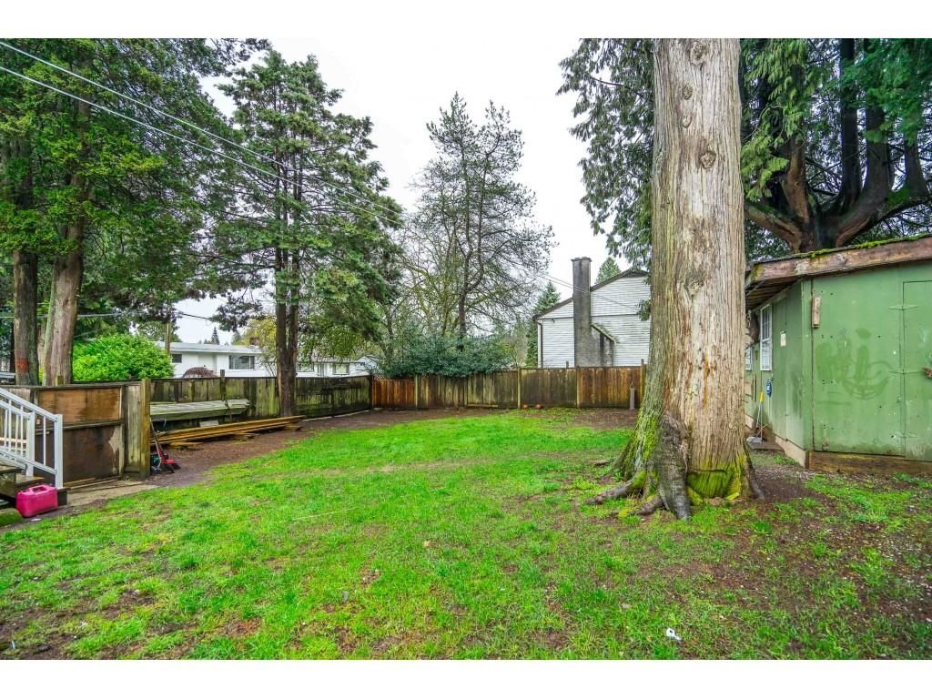 Listing Image 8