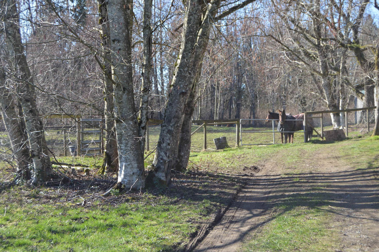 Listing Image 22