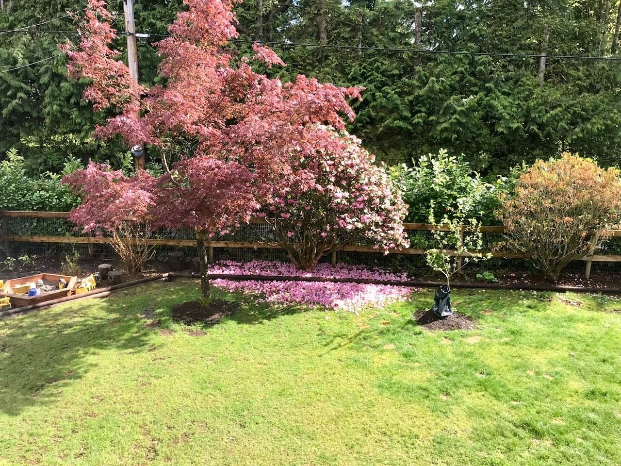 Listing Image 23