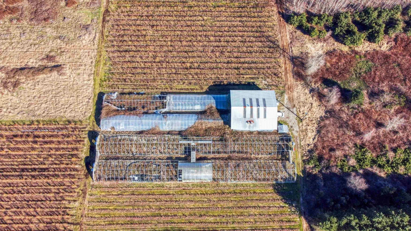 Listing Image 12