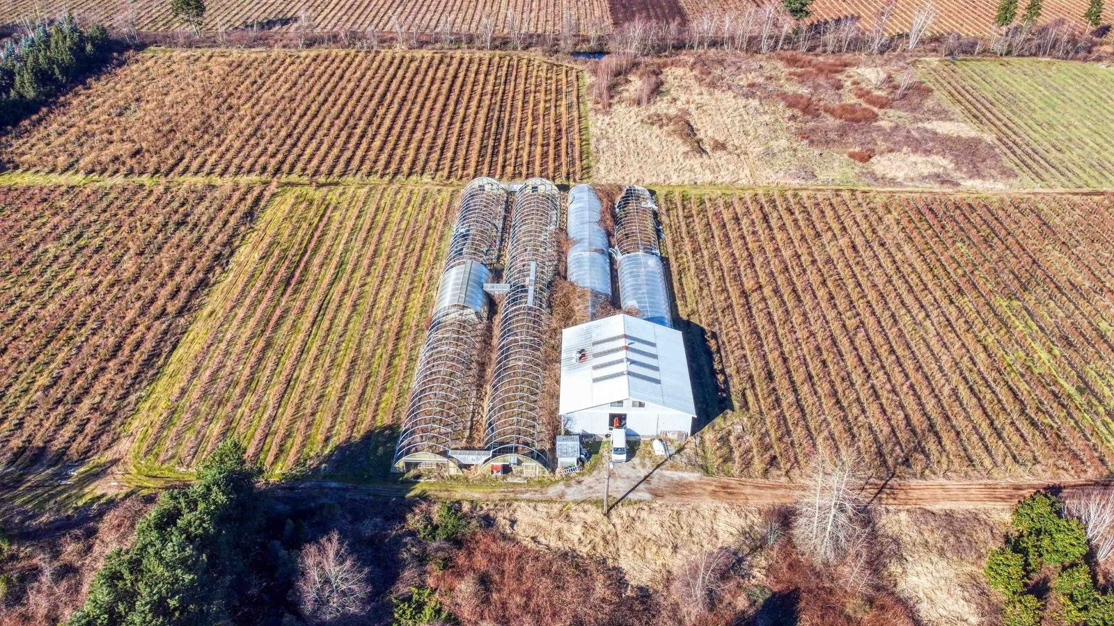 Listing Image 13