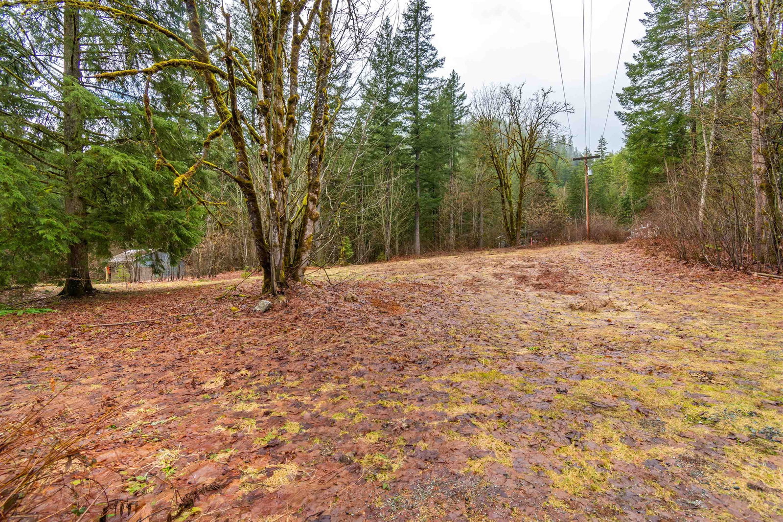 Listing Image 40
