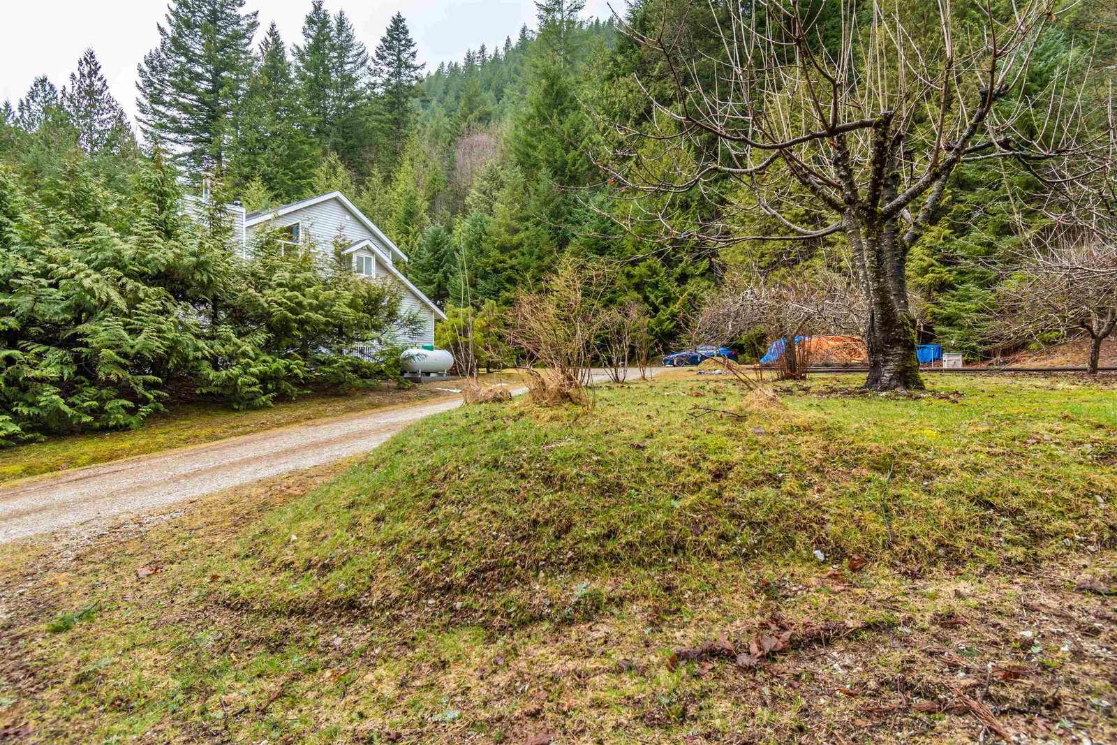 Listing Image 39