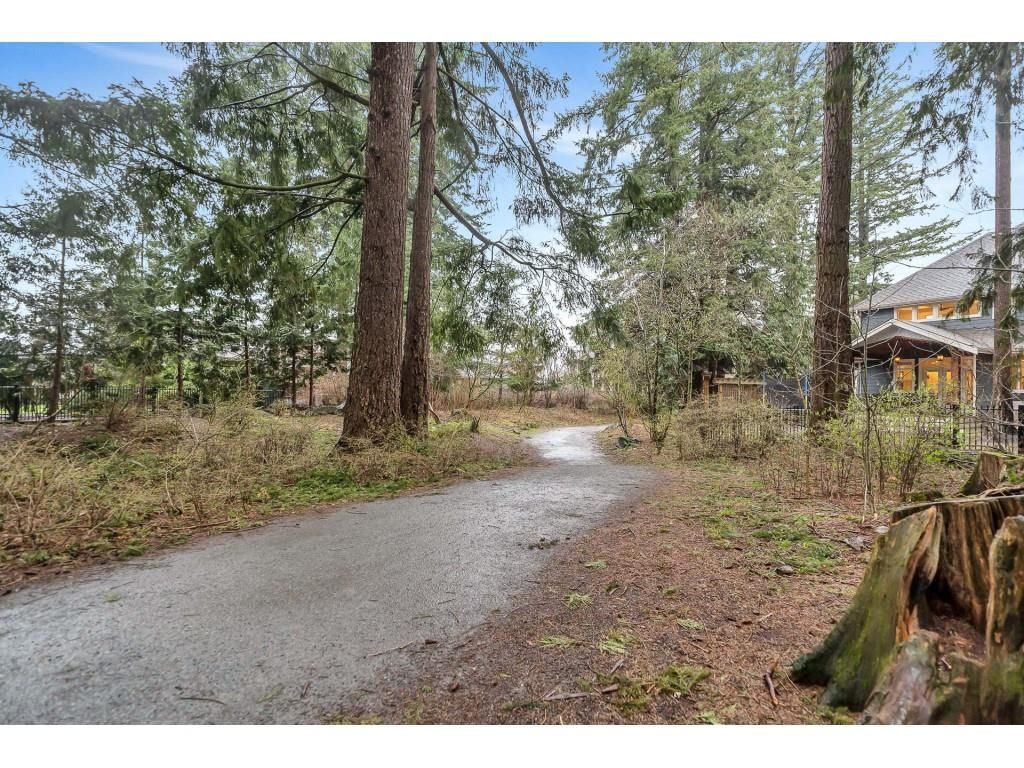 Listing Image 39