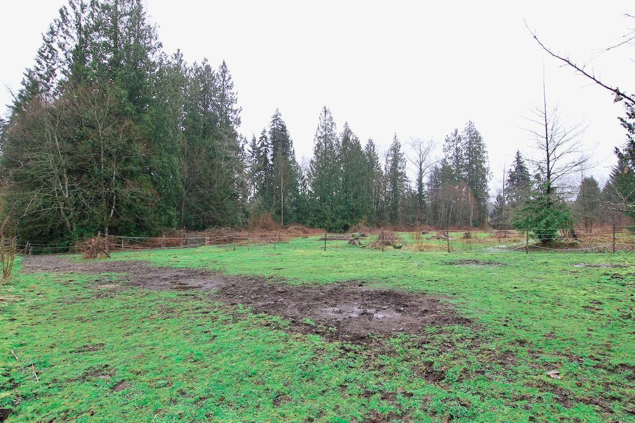 Listing Image 30