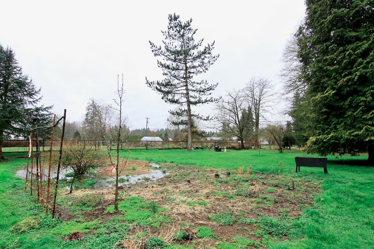Listing Image 31