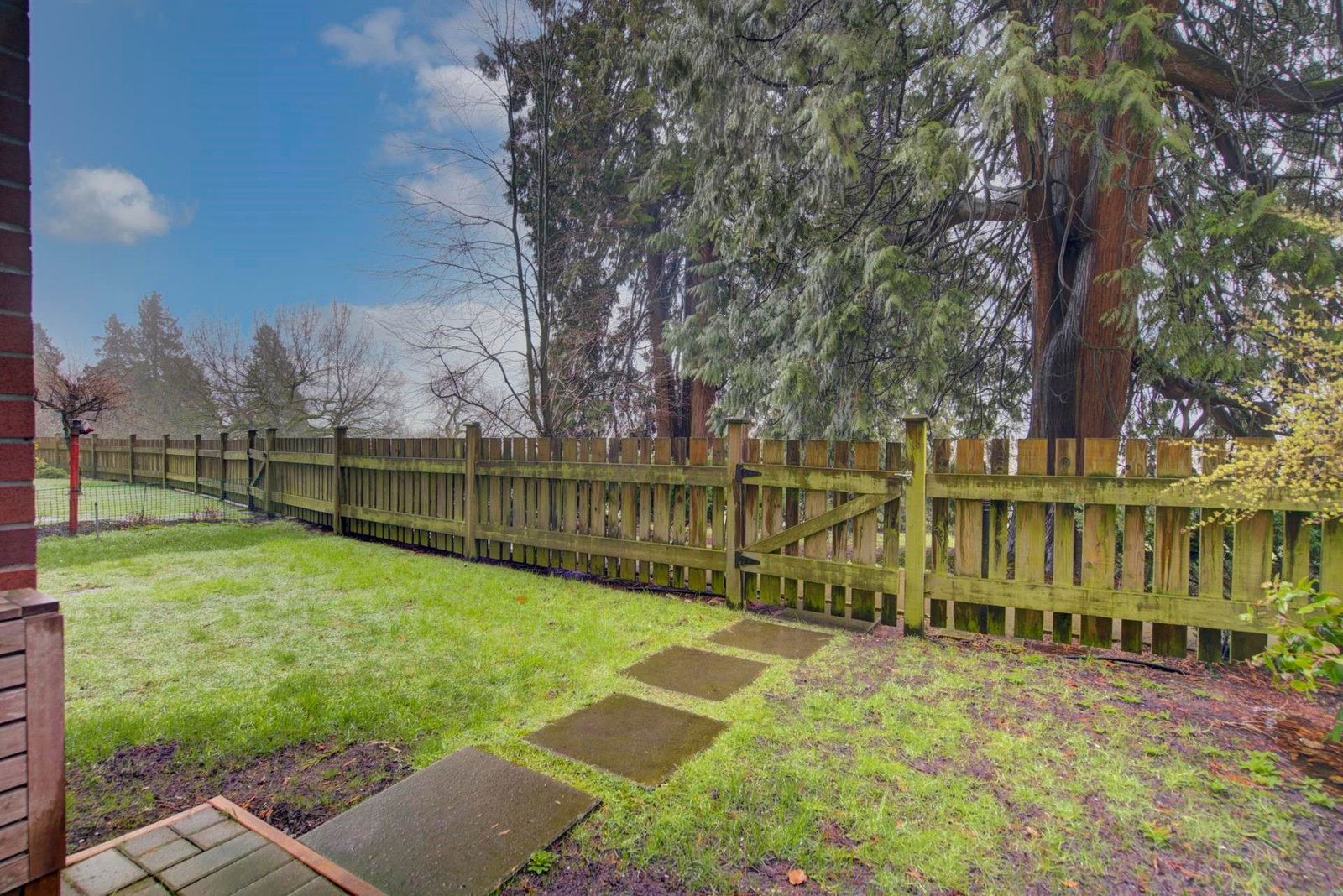 Listing Image 24