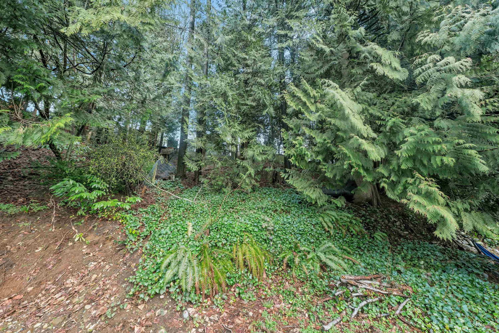 Listing Image 33