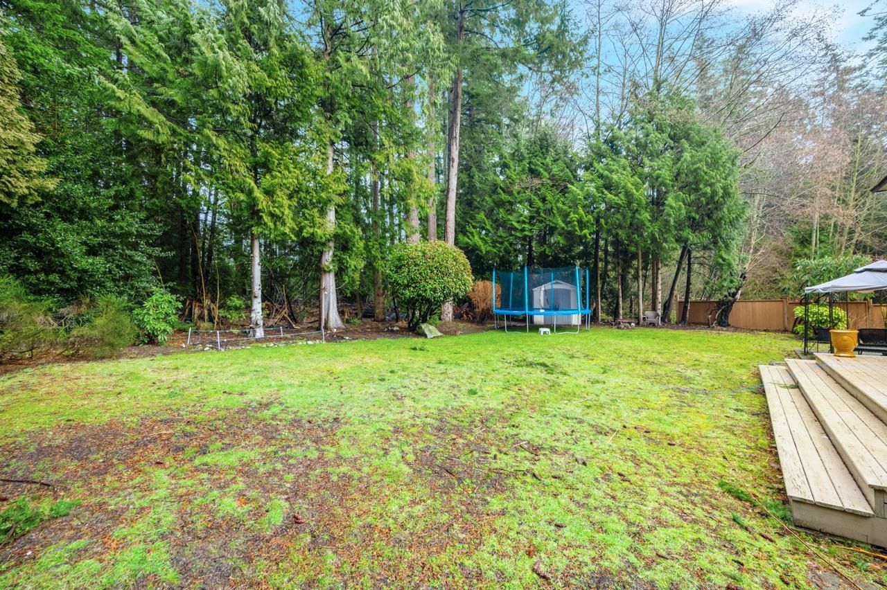 Listing Image 26
