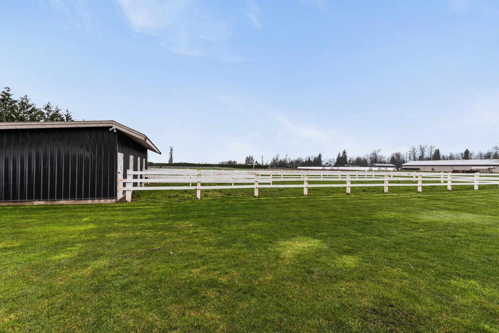 Listing Image 24