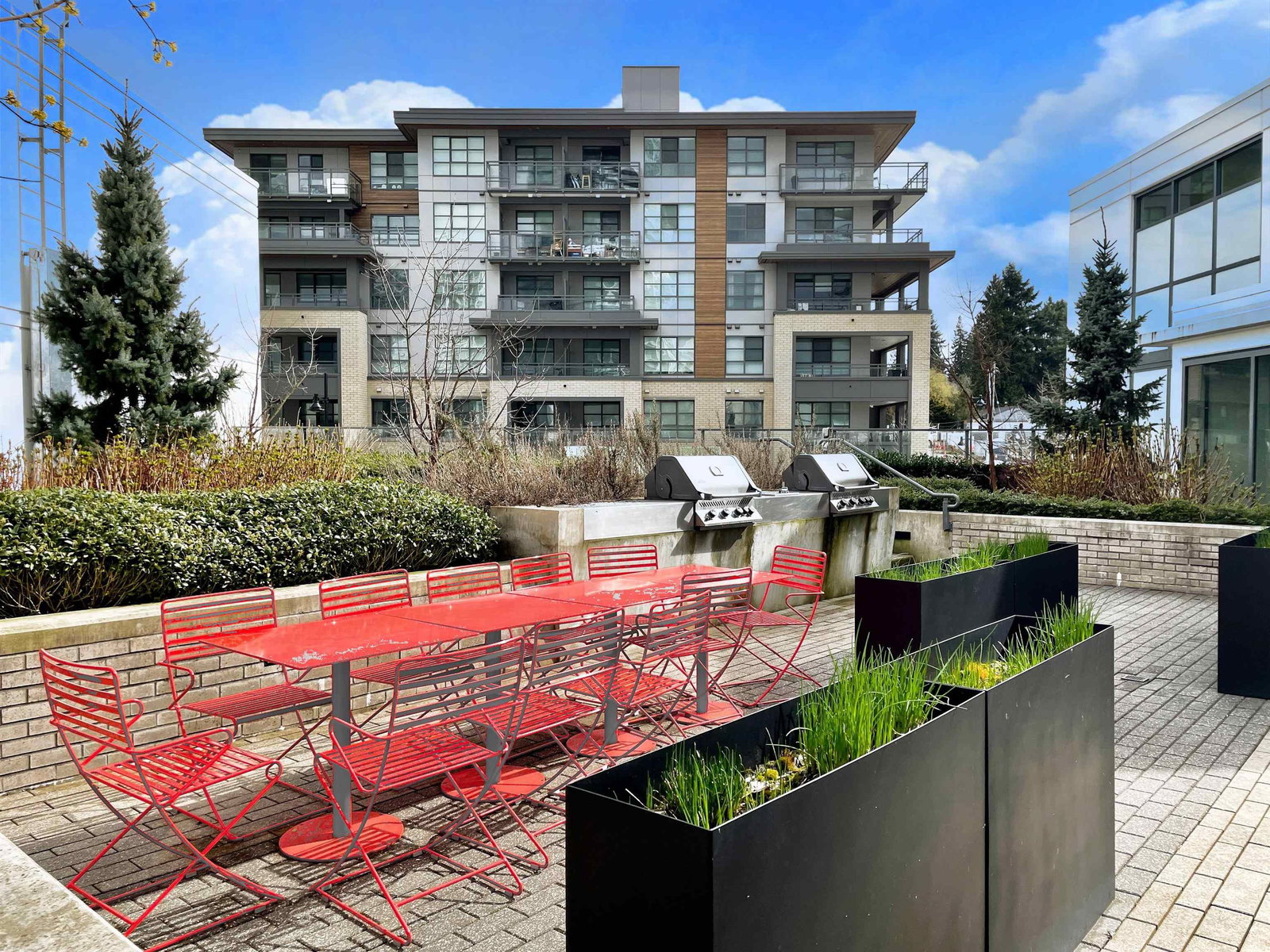 Listing Image 19