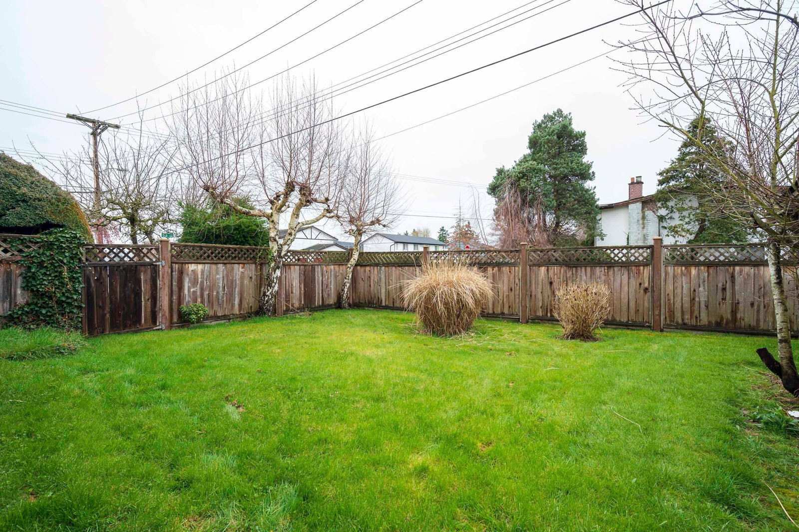 Listing Image 39