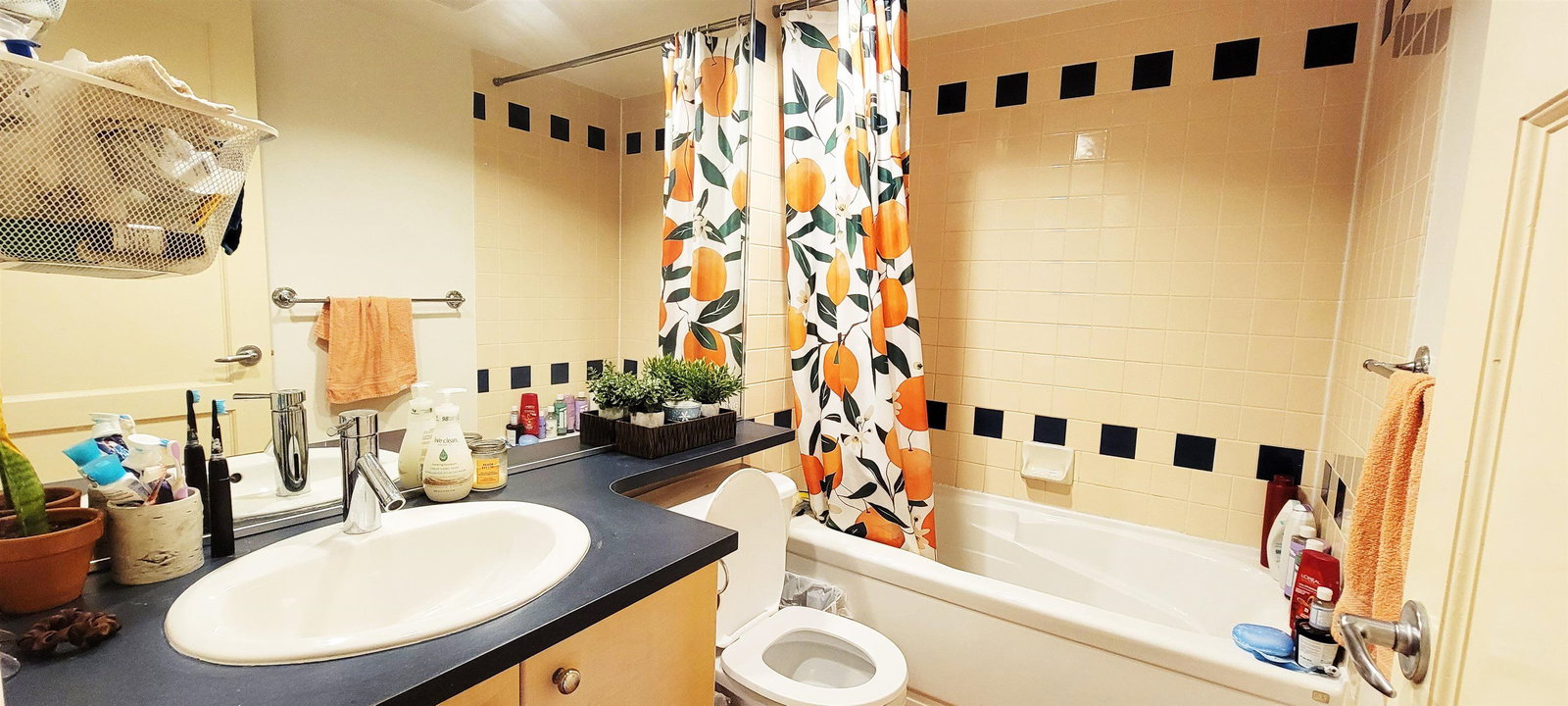Listing Image 10