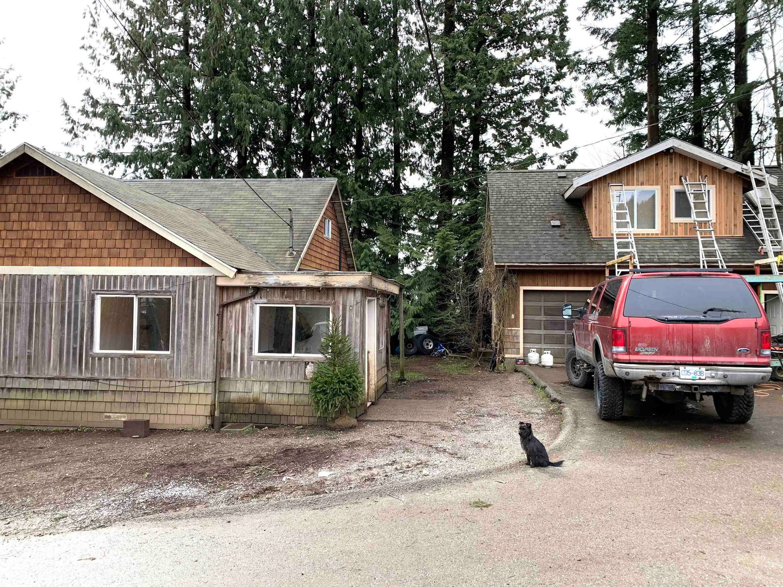 Listing Image 20