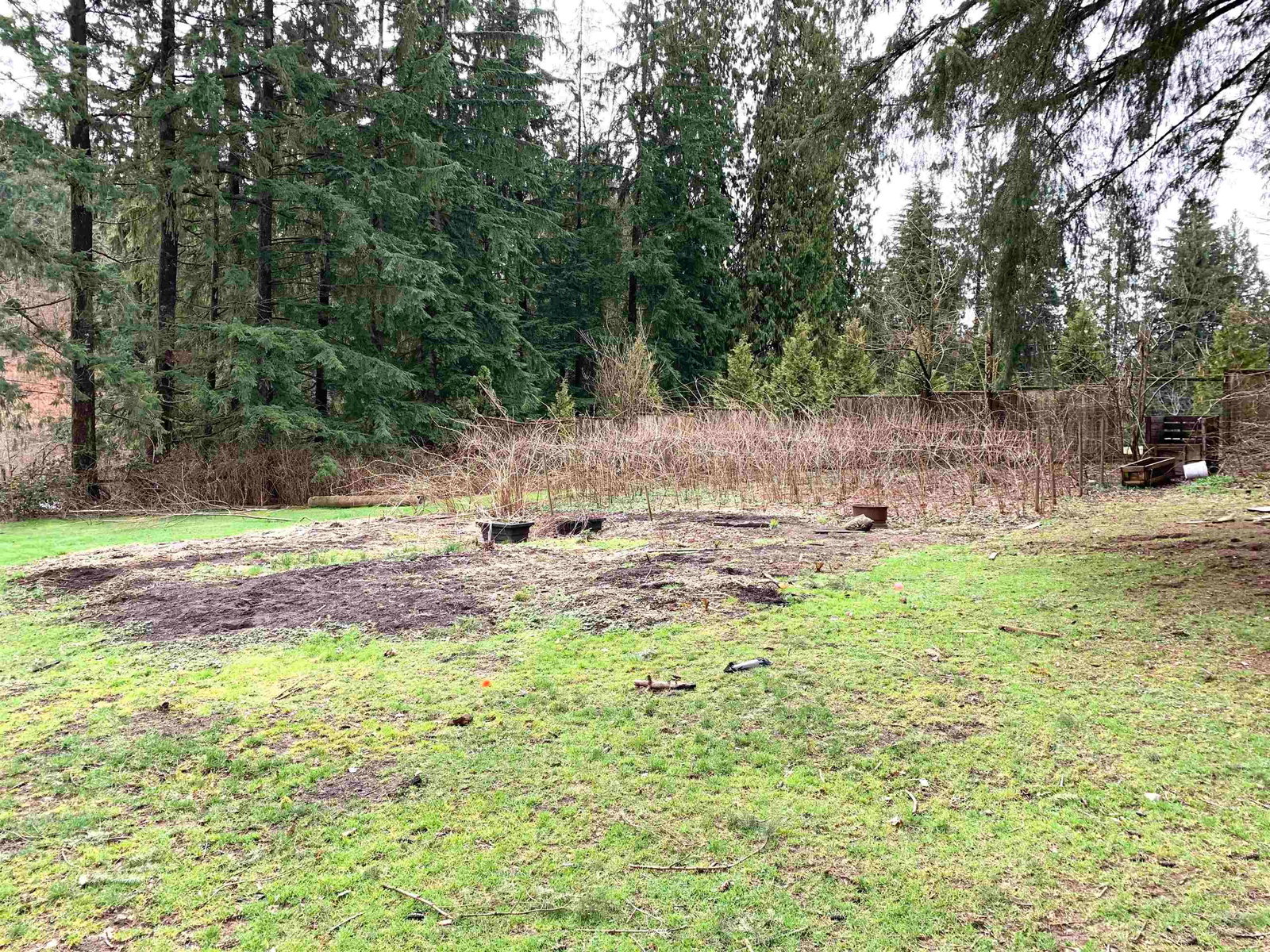 Listing Image 25