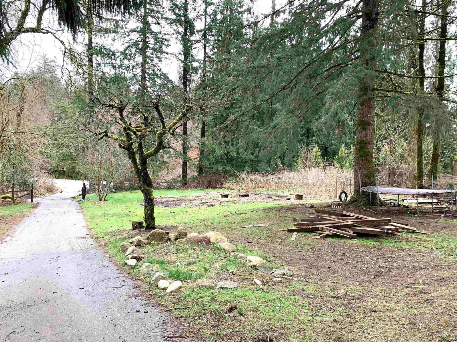 Listing Image 26