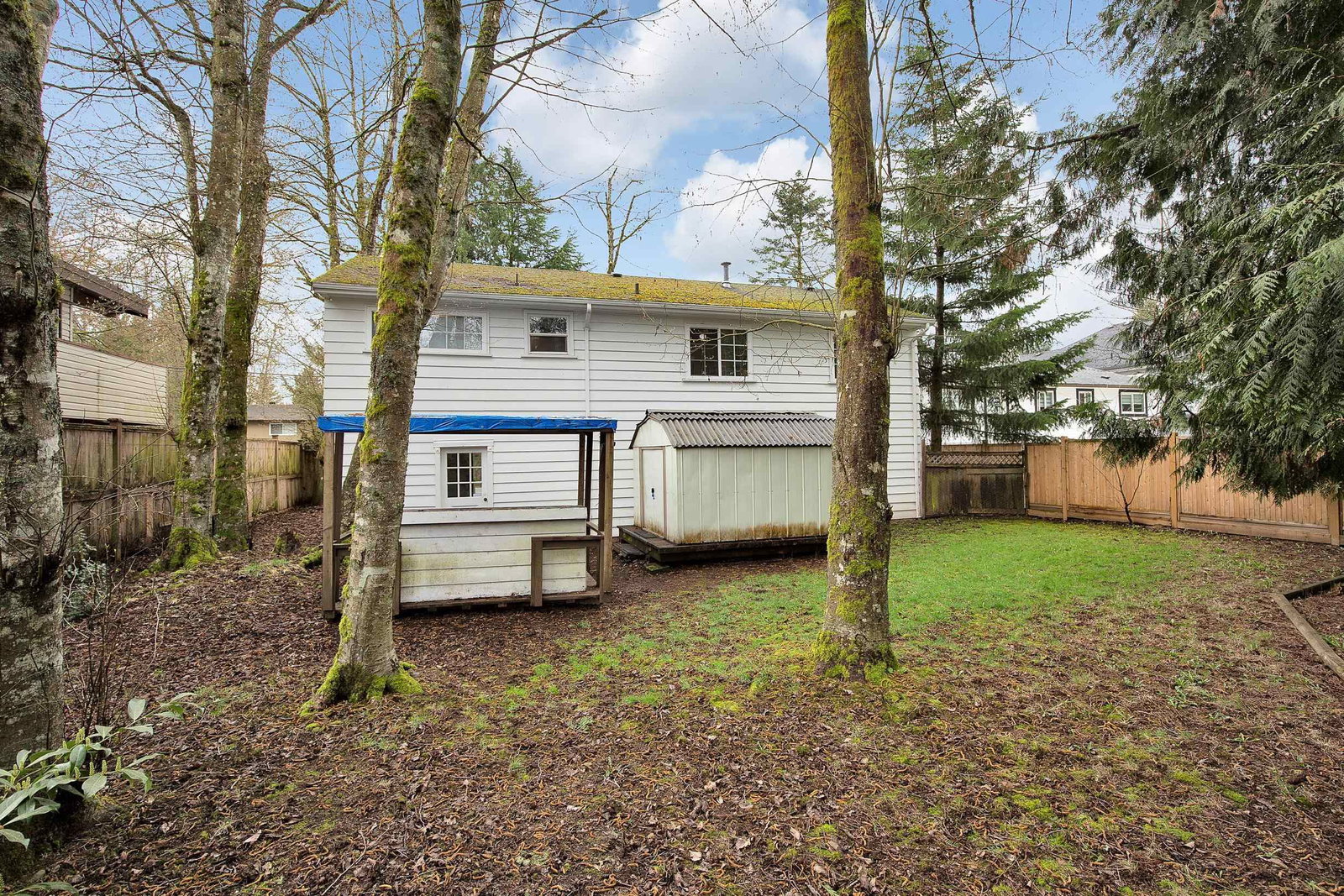 Listing Image 25