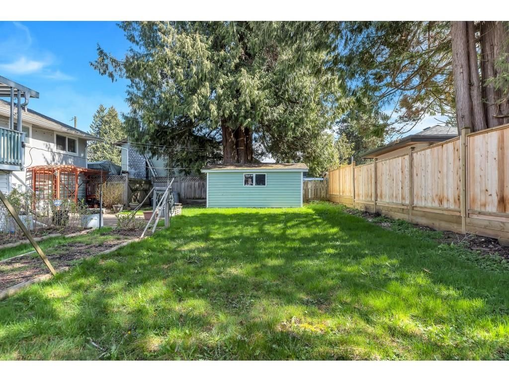 Listing Image 31