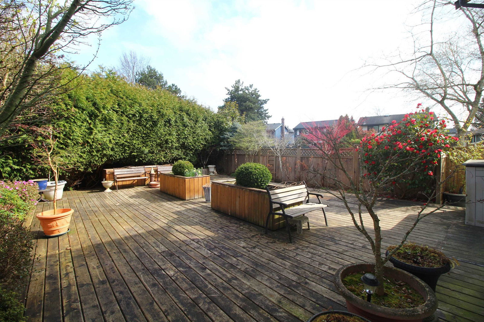 Listing Image 17