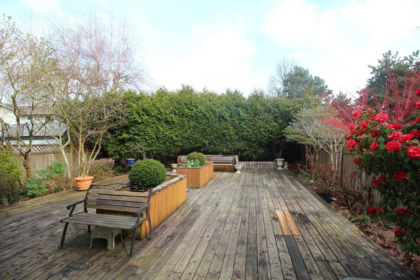 Listing Image 18