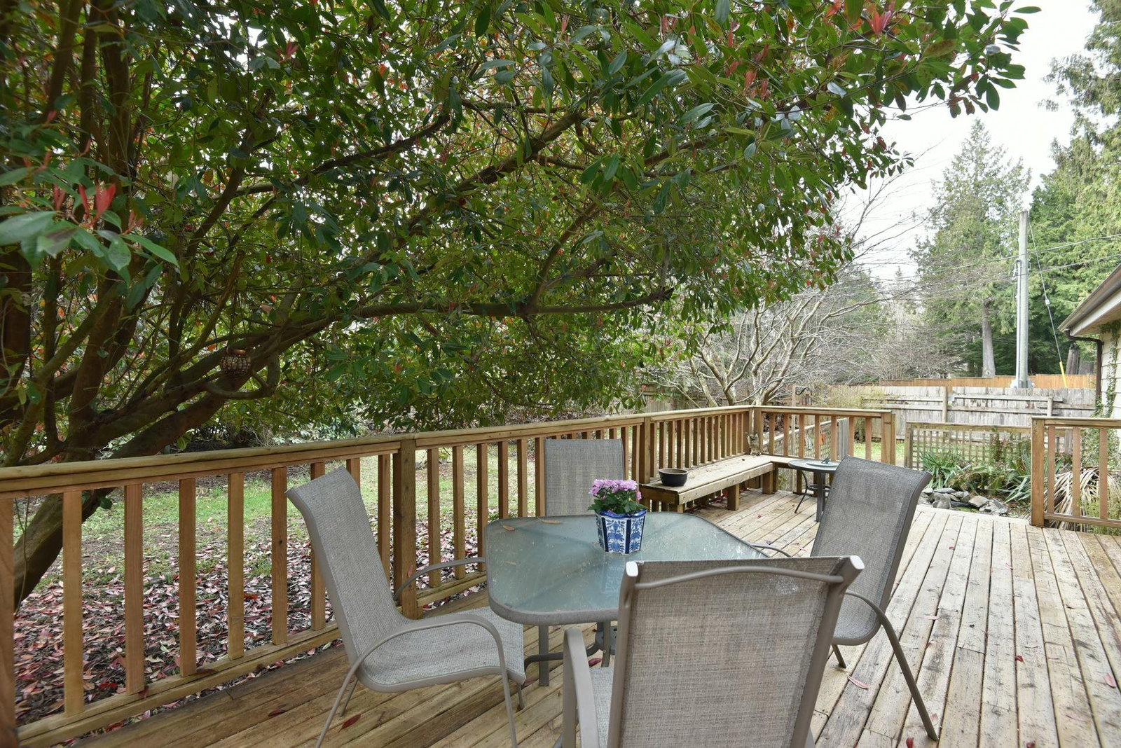 Listing Image 18