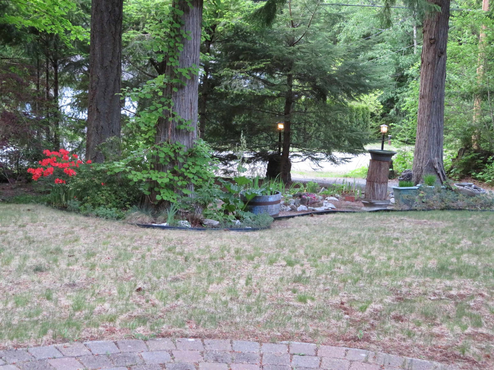 Listing Image 29