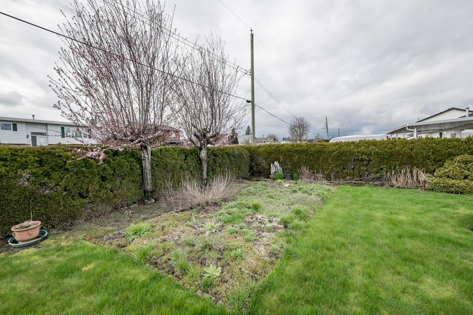 Listing Image 34
