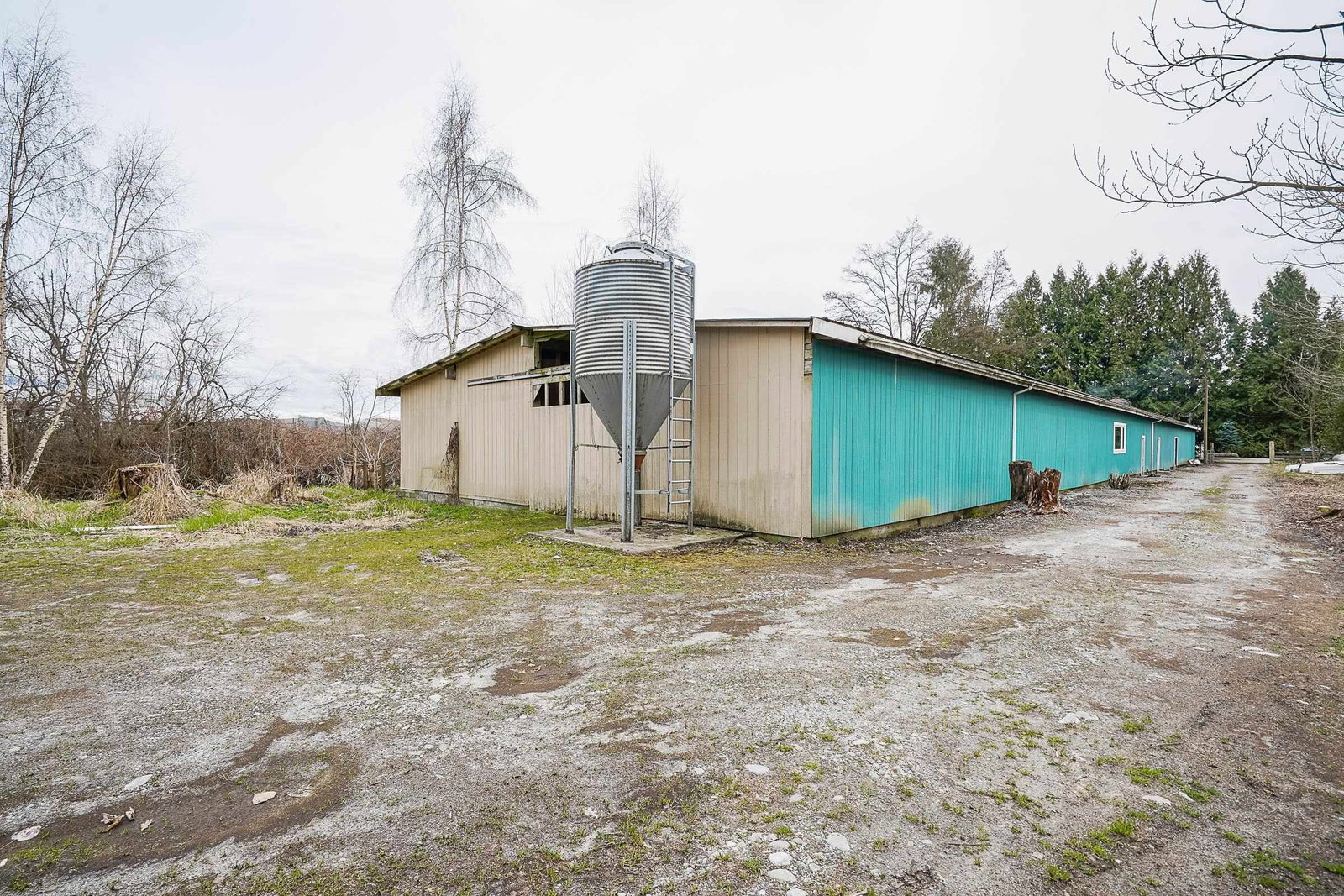 Listing Image 31