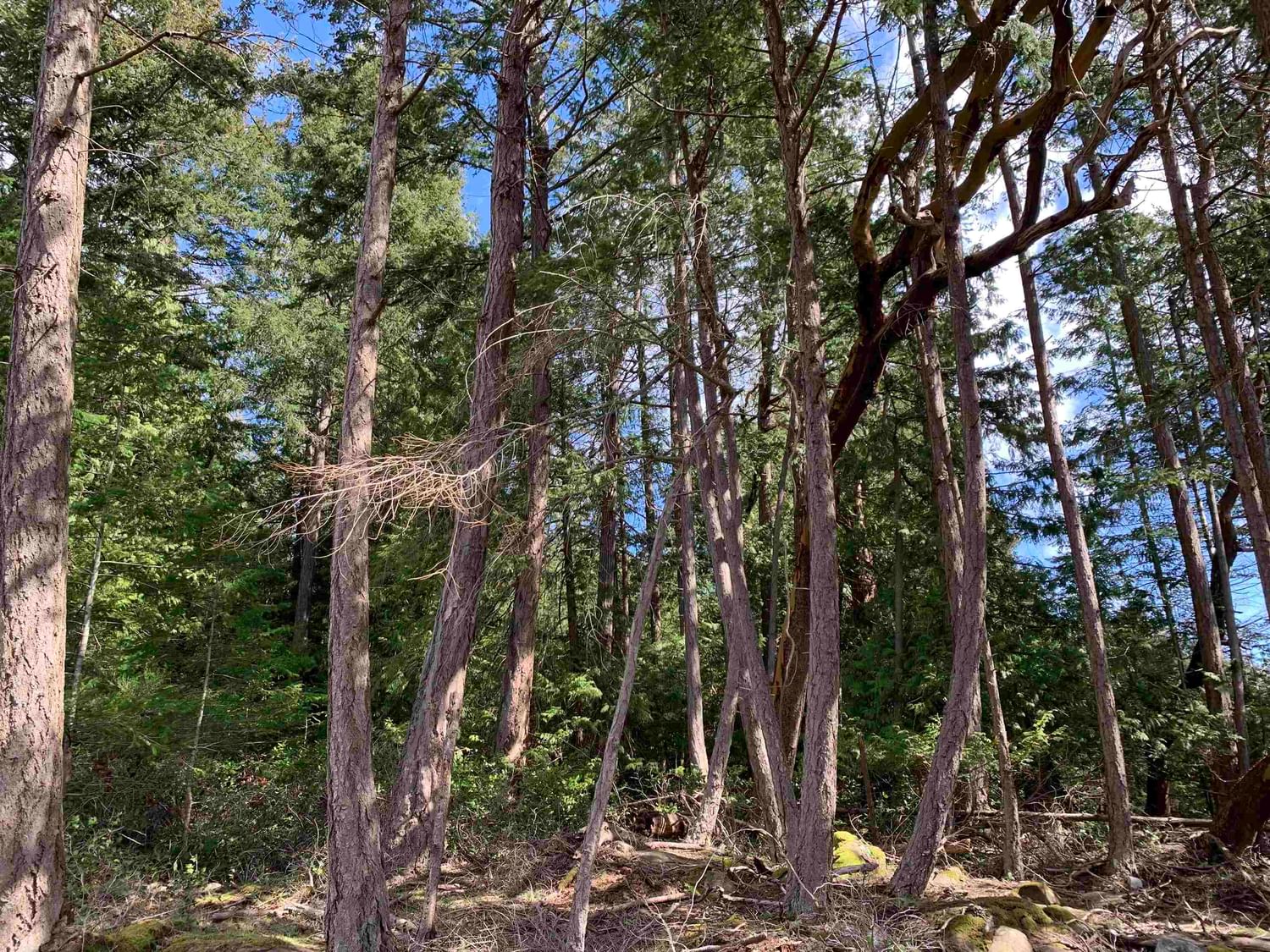 Listing Image 11