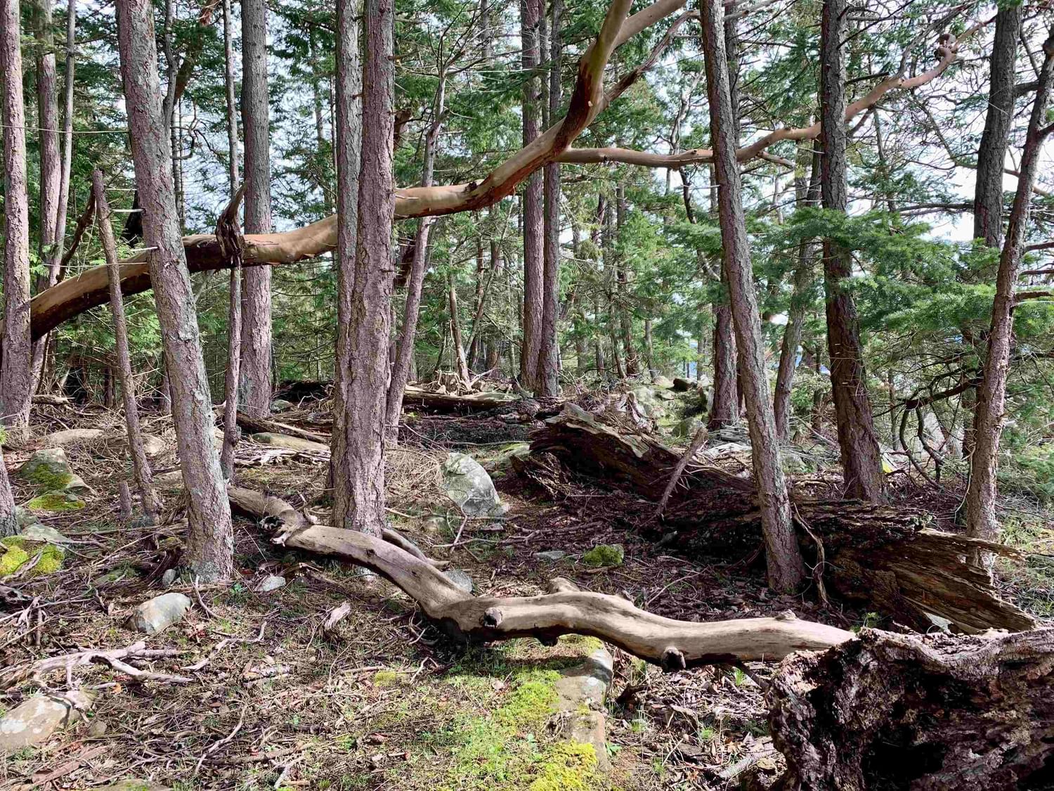 Listing Image 15