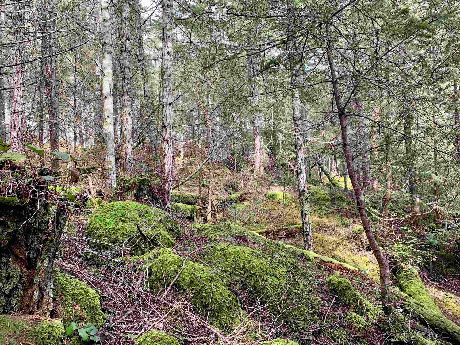 Listing Image 17