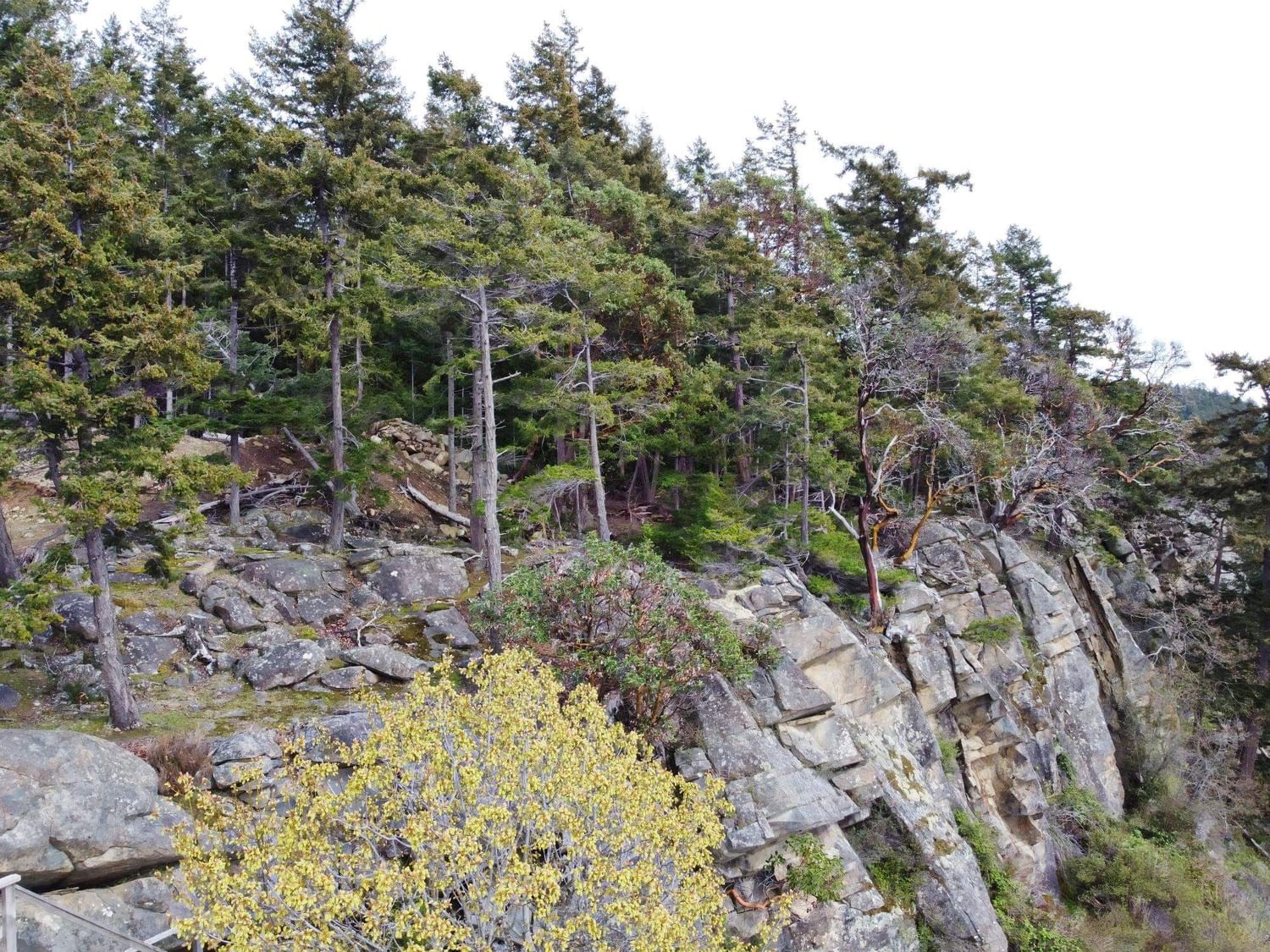 Listing Image 21