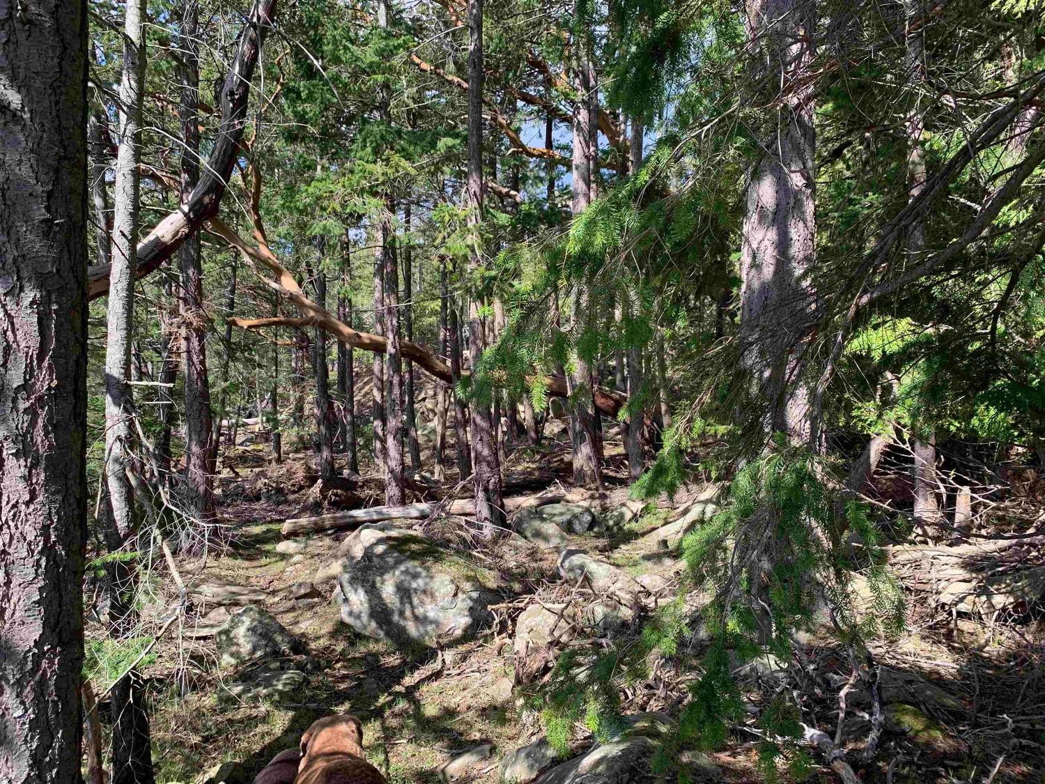 Listing Image 30